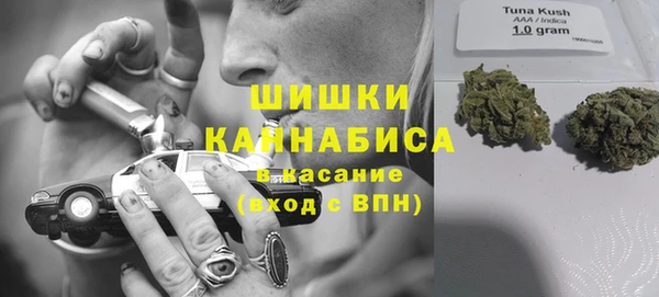 прущий лед Лагань