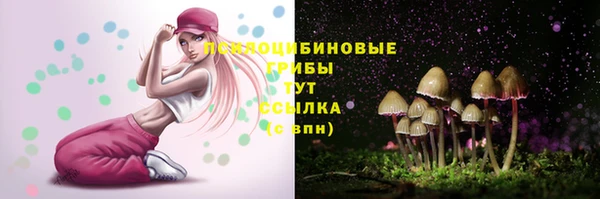 прущий лед Лагань